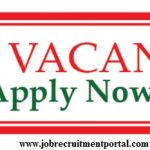 Job Vacancy - Apply Now