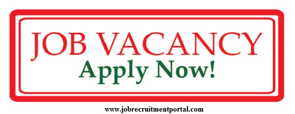 Job Vacancy - Apply Now