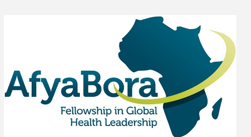 Afya Bora Consortium Fellowship