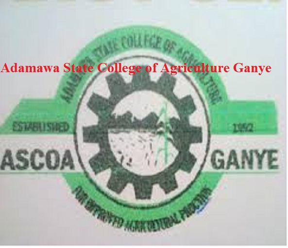 Adamawa State College of Agriculture Ganye