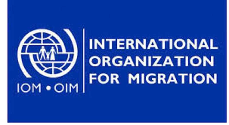 International Organization for Migration Job Recruitment Form Portal