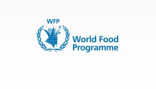 United Nations World Food Programme Job Recruitment 2021/2022 Application Portal – How to Register