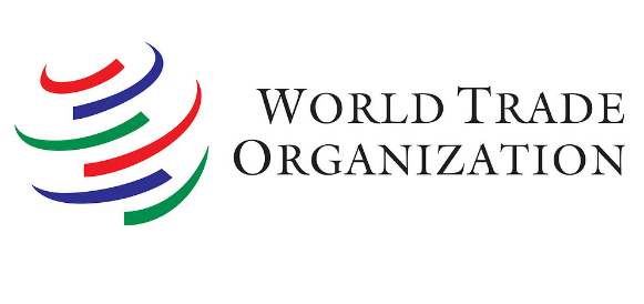 World Trade Organization Young Professionals Programme 2022