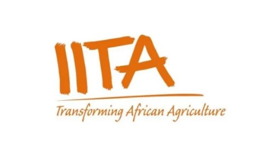 International Institute of Tropical Agriculture (IITA) Job Recruitment 2021/2022 – How to Apply