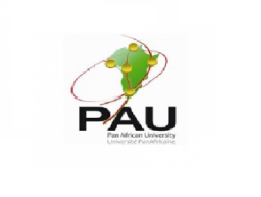 Pan African University (PAU) Postgraduate Scholarship Programmes 2021: Apply Here