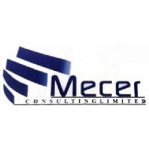 Mecer consulting