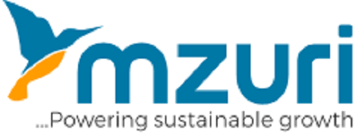 Mzuri Solutions Limited